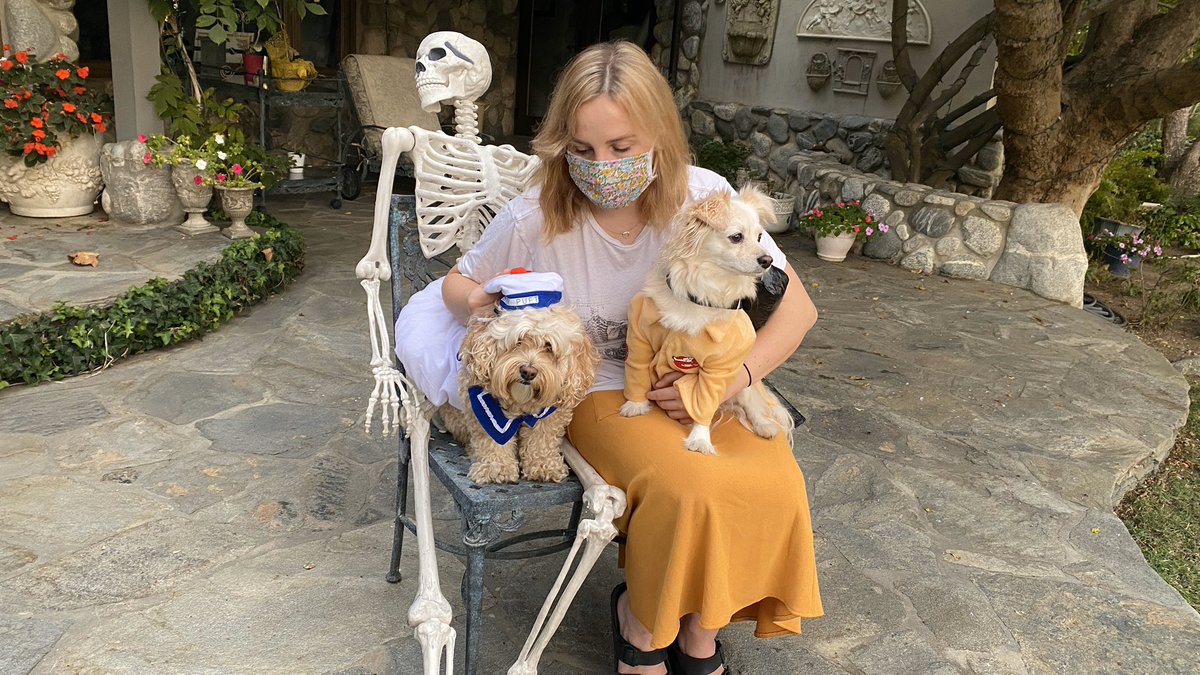Chelsea Hamill tweet media