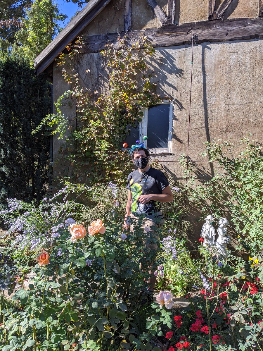 Buddy System🐛🧙🏾‍♀️ tweet media