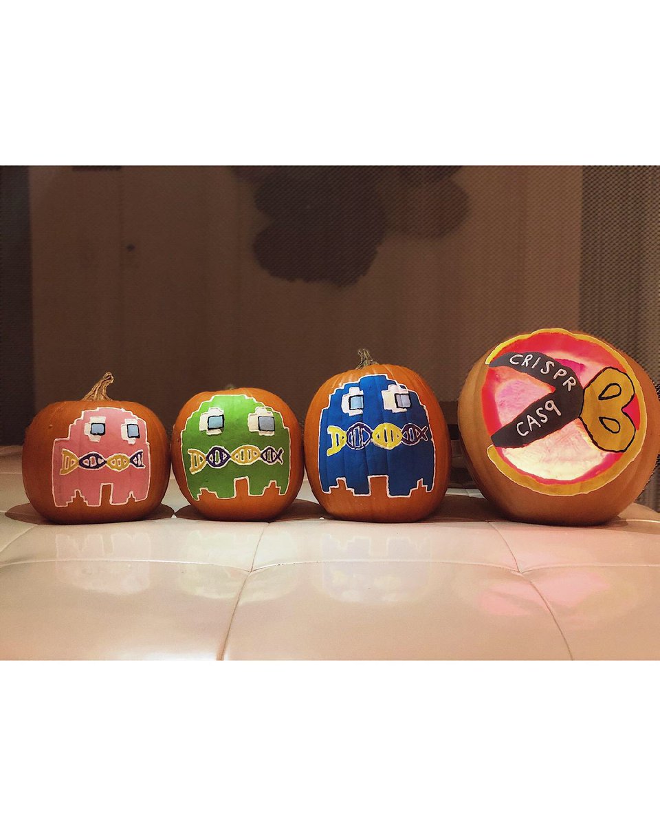 Happy #Hallogene ! Introducing CRISPR-MAN, the newest gene editing arcade game, perfect for your loved one this holiday season! ( #utgcp pumpkin carving contest ) #gcchat #medtwitter #pacman #crispr #pumpkincarving