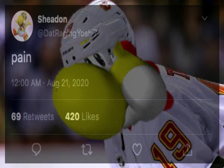 DatRagingYoshi7's tweet image. Hi, I’m Sheadon, also known as The Legend Shea in @SpeedyHawk731’s Streams. Just “Shea” is good enough when referring to me.

I’m a Calgary #Flames Fan, and talking about the NHL in General will be the majority of my Tweets. I look at other weird stuff - and I like Fire Emblem.
