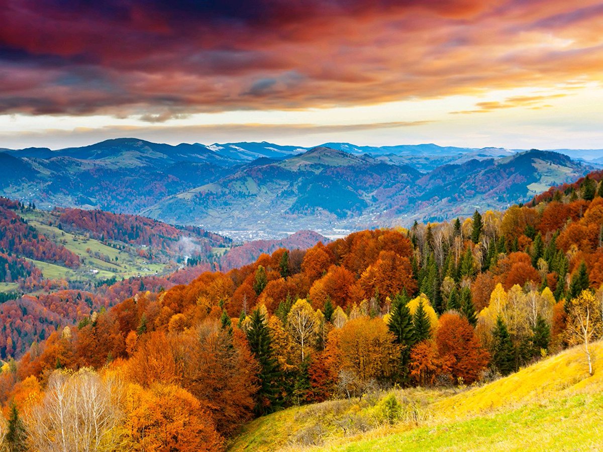 Thierry Gauthier tweet media