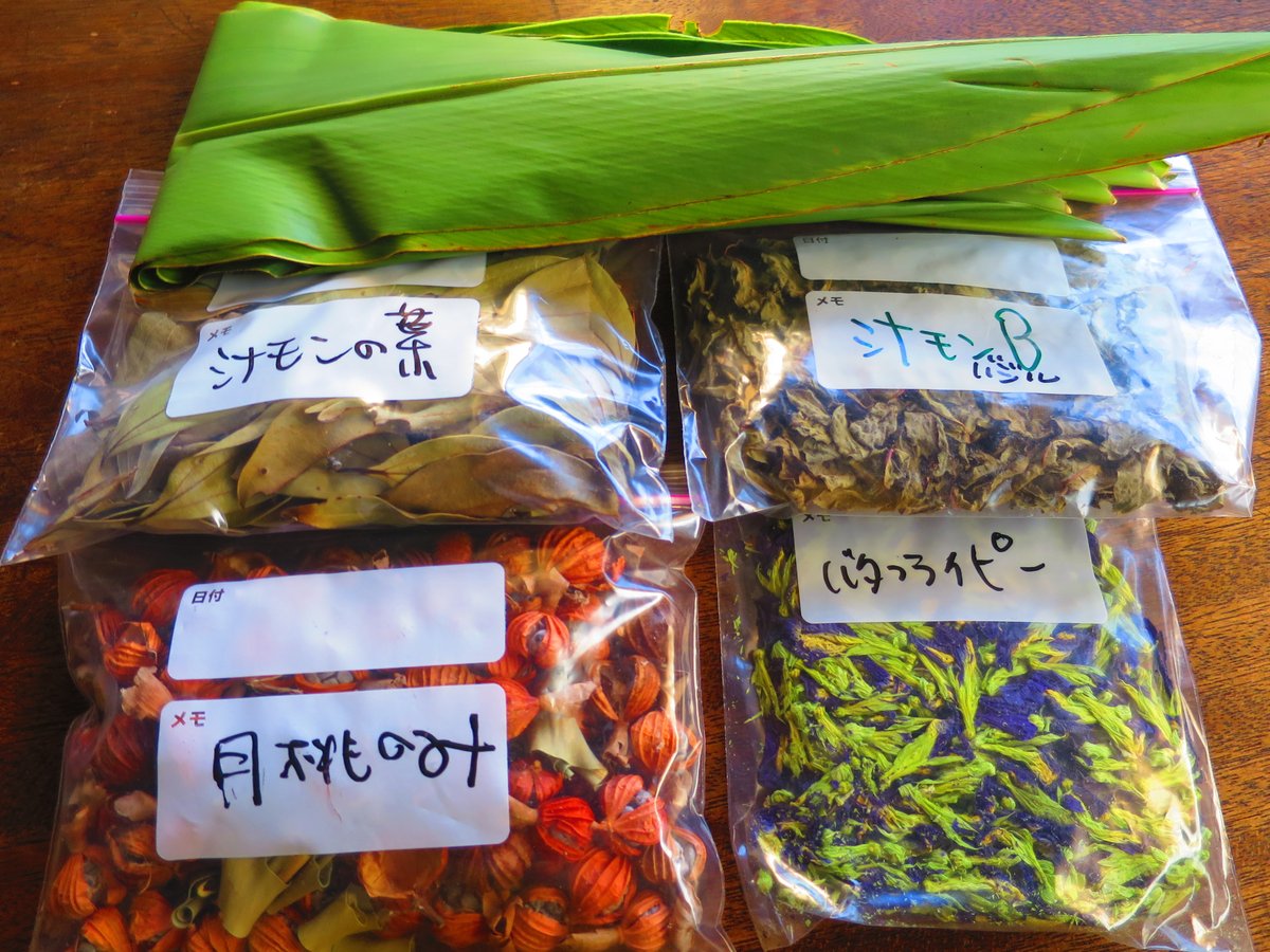 シナモンバジル シナモンバジル