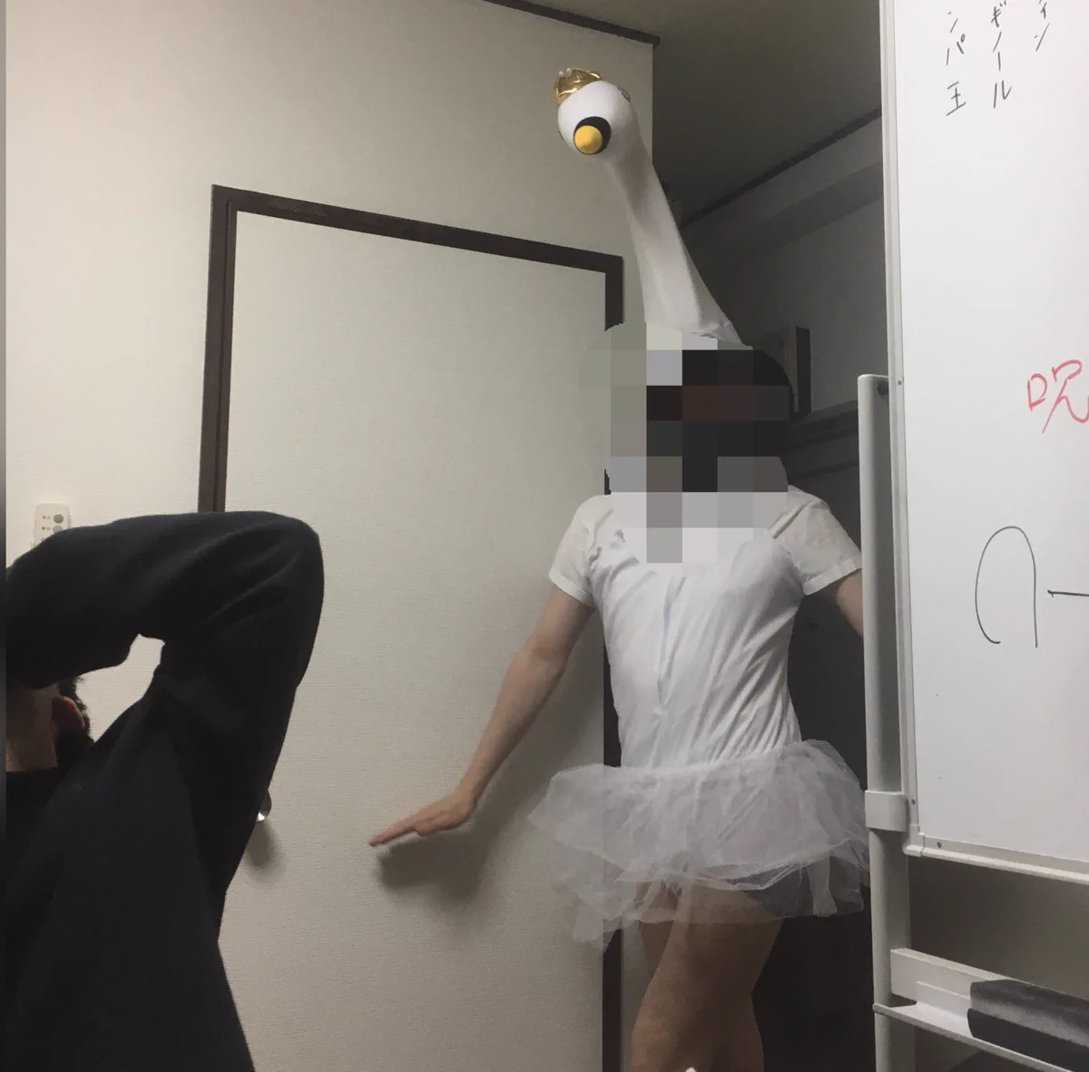 色々とツッコミどころが多すぎる！www家に泊めた友達がツルになってお礼を言いにやってきた？！www