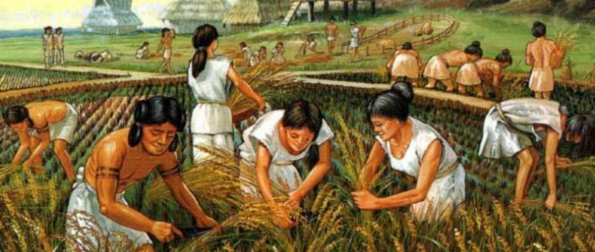 structure and a nucleus are formed and then slowly it takes up the energy and nutrition from the earth.Then the structure develops into an incipient seed and later takes the form of a solid tree.