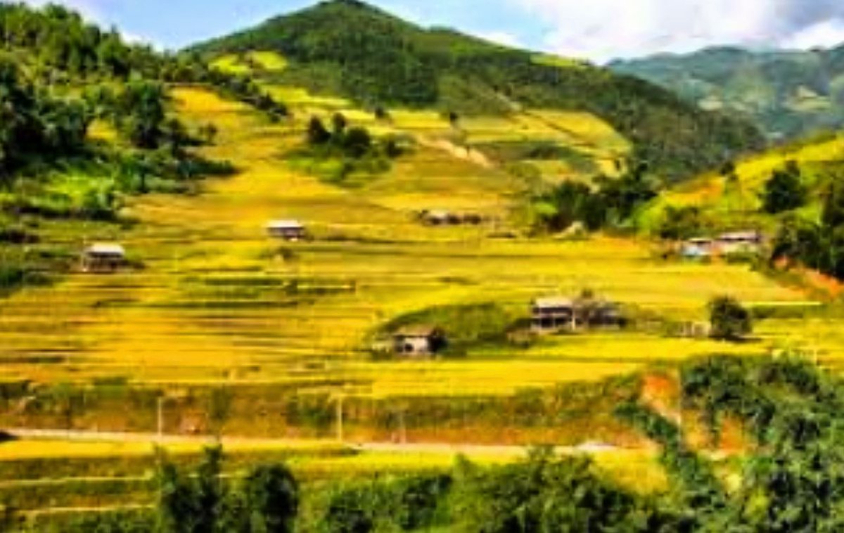 Thus, Parashar went very deeply into the whole process of growth, development and care for the plants.Sage Parashar also describes various aspects of the microscopic nature of the cell and says that it hasprotoplasm and cell membranes,