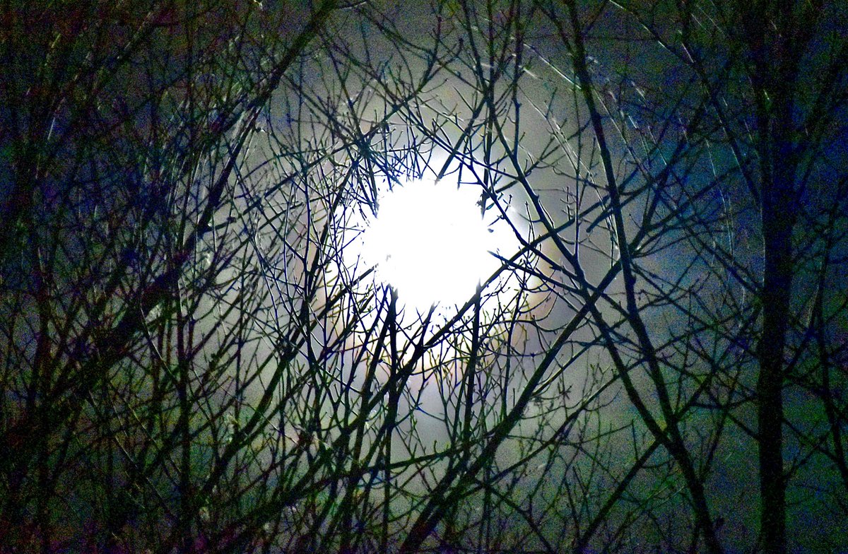 LiretteTony's tweet image. 2020 Blue Moon Hallowe’en Quispamsis,NB ⁦@weatherchannel⁩