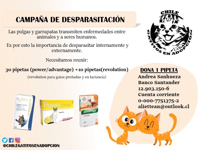 Dona 1 pipeta o el valor de una para un rescatado♥️ <a href="/abandonadosparq/">Abandonados Parque</a> <a href="/AmorMaipu/">Amor Animal Maipú</a> <a href="/Tacitobigotes/">𝕿𝖆𝖈𝖎𝖙𝖔 y Panqueque</a> <a href="/SoyLaMichi19/">Michi 🐱</a> @Ciudad_Animal <a href="/FundAnimalChile/">Fundación Animal Chile🐾</a> @FHuellaAnimalCL <a href="/fundCeba/">Fundación Ceba</a> <a href="/ffelinnos/">Fundación Felinnos - TNR Chile®️</a> <a href="/fcruzadaanimal/">fundacioncruzadaanimalchile</a> <a href="/PatitasCansadas/">Fundacion Patitas Cansadas @patitascansadas</a> <a href="/FundJulieta/">Fundación Julieta</a> Retwittear por favor🙏♥️ gracias 🐈
