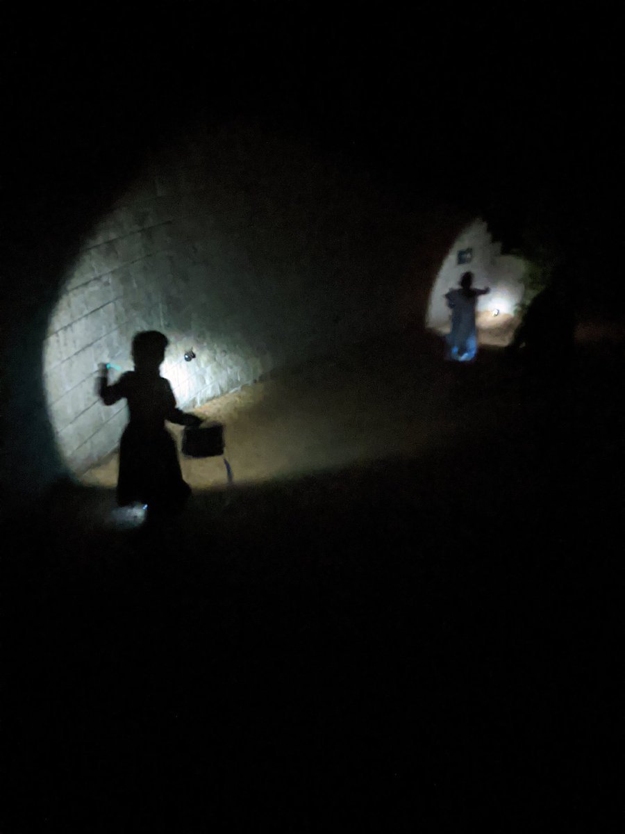 Jane IMAGINABLE McGonigal ❤️ tweet media