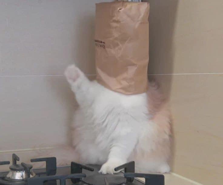 November wish ♡ 𓈒 @ everyone ˚🧦🕯 ༘