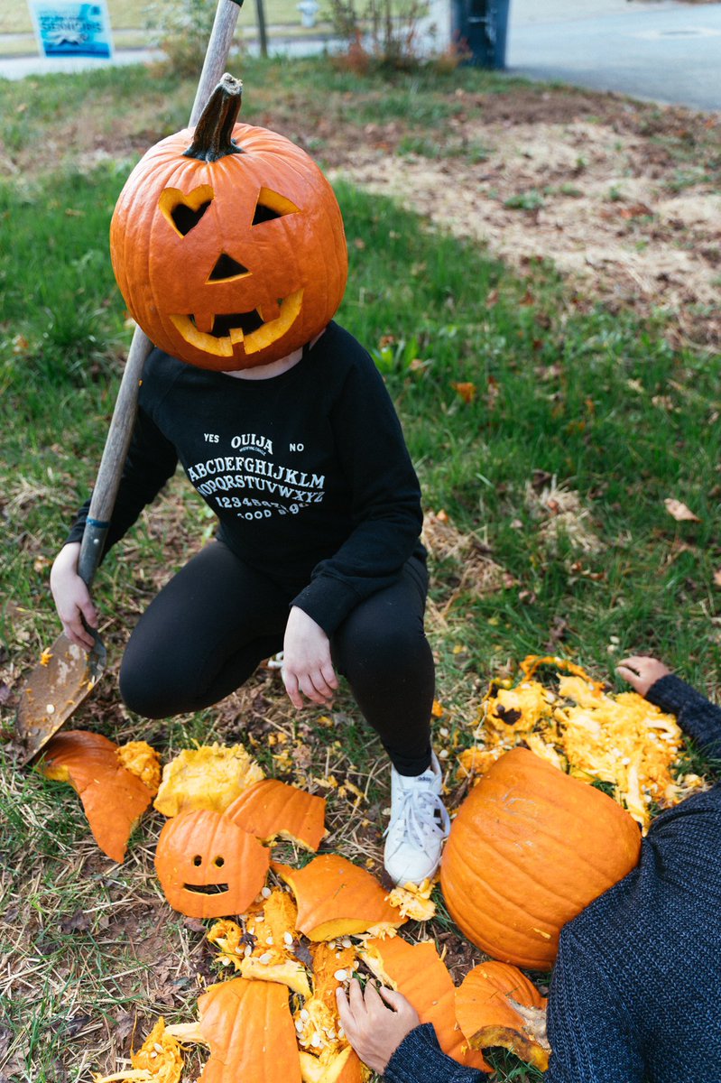 nikatabidze's tweet photo. Cheater cheater, pumpkin eater🤯🎃 https://t.co/SPROlpVZs9