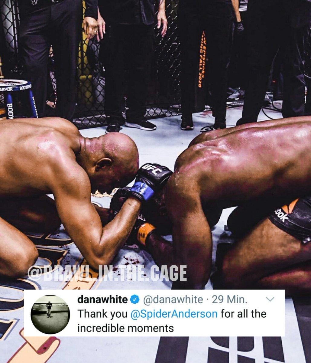 Brawl in the Cage tweet media