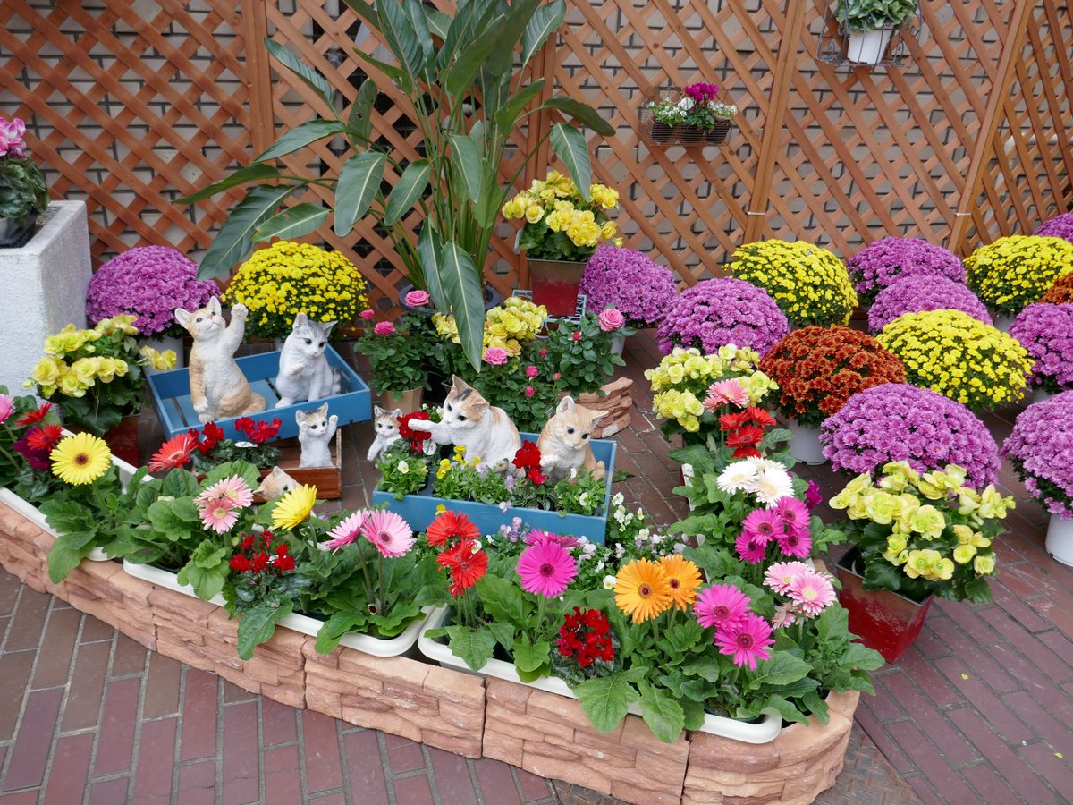 豊明まつり公式 على تويتر だいすき豊明秋まつり テーマが 花と歴史 のもと 市役所玄関前のアーチから始まり毎年どの様に飾り付けをしようかと工夫しながら 強風の年 雨の年といろいろありました 来場者の方が花アーチの前で写真をとり 笑顔を見るとやった 豊明まつり公式 على تويتر だいすき豊明秋まつり テーマが 花と歴史 のもと 市役所玄関前のアーチから始まり毎年どの様に飾り付けをしようかと工夫しながら 強風の年 雨の年といろいろありました 来場者の方が花アーチの前で写真をとり 笑顔を見るとやった