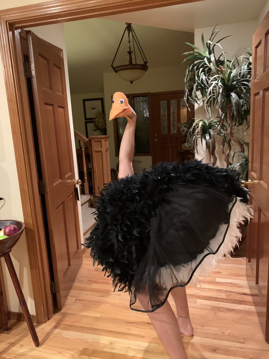 BeauPasquier_'s tweet photo. Happy Halloween HAHAHA https://t.co/pZ3oEu6pTN