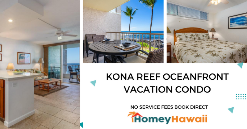 HomeyHawaii's tweet photo. Full-oceanfront 2nd story condo - right on the water, there is no view of any other condo or part of the facility from the lanai. The kitchen and bathroom are newly remodeled and fully equipped with plenty of cooking utensils https://t.co/YDmiR8msfl
#BookDirect #HomeyHawaii https://t.co/2SqmQJio1w