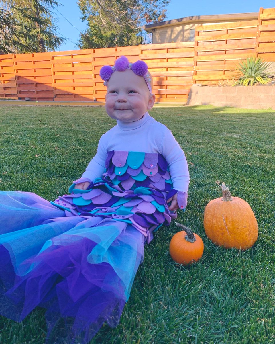 ashjacobson's tweet photo. Happy Halloween from the sweetest mermaid 🧡🖤💜 https://t.co/0I0V7NPiOS