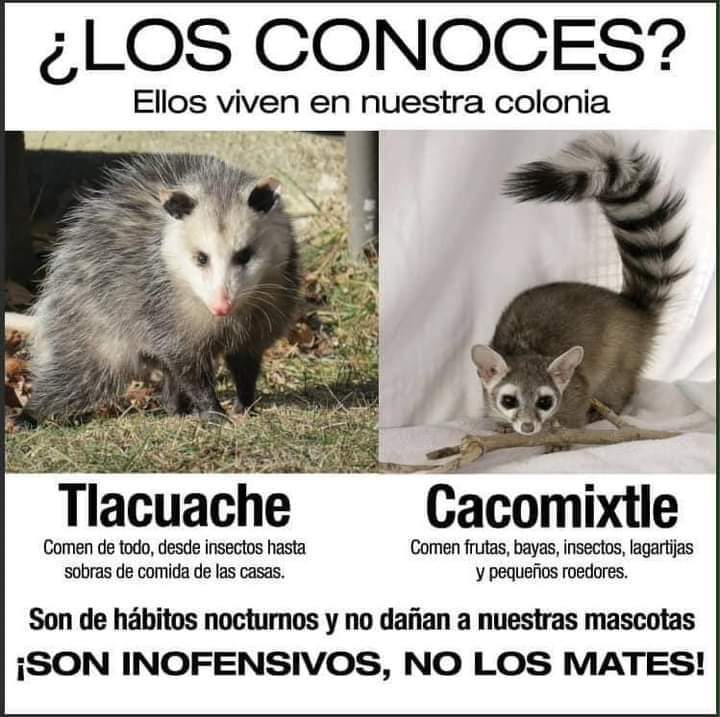 ProcontrolM's tweet image. 