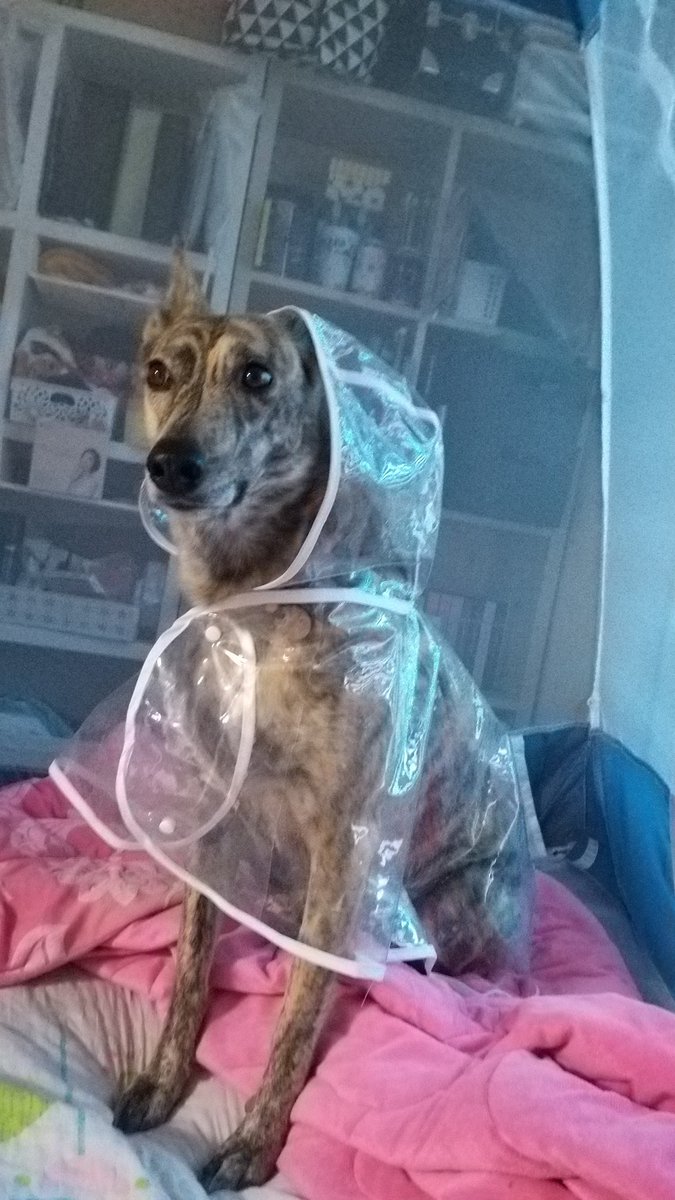 (산책 한번 더 가고싶다