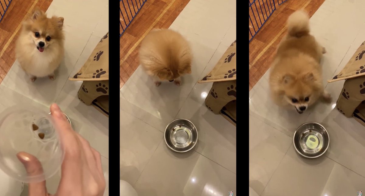 Daily Napkins tweet media