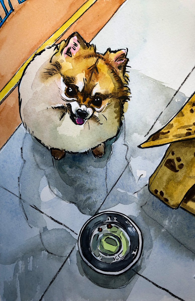 Daily Napkins tweet media