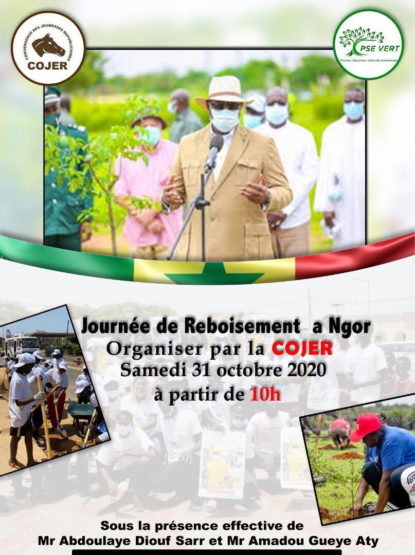 ngor_l's tweet image. #JOURNÉE_DE_REBOISEMENT_À_NGOR

Planter des arbres figure en bonne place dans le programme du #PSE_VERT.Lors de la journée Nationale de l'Arbre, le Président Macky Sall déclarait :«Je recommande à l'ensemble de nos compatriotes, la plantation d’arbre. Il faut reverdir le Sénégal