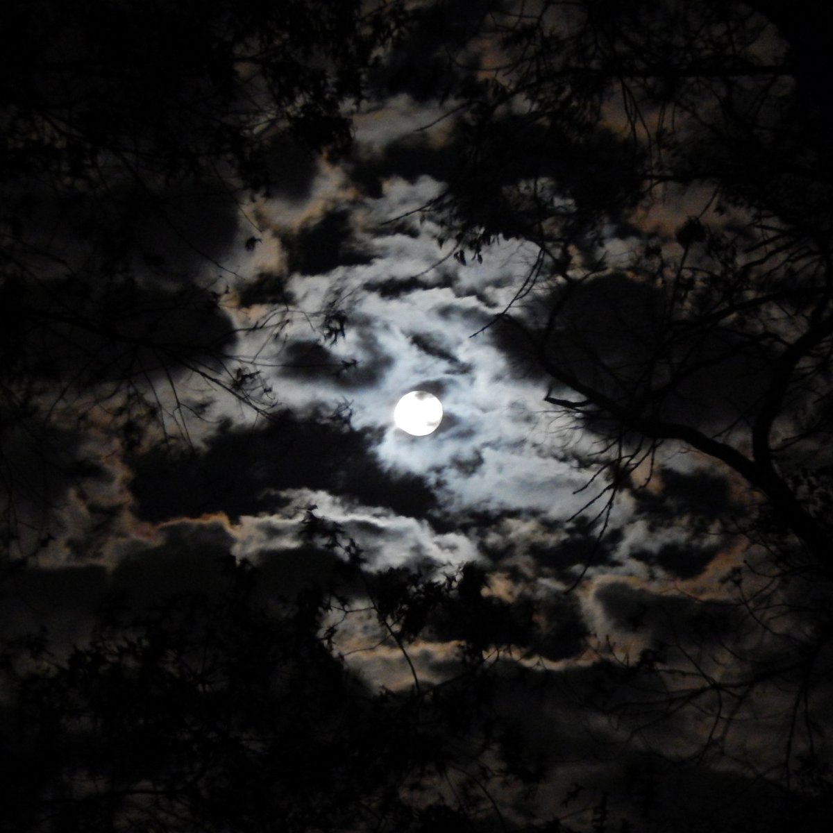 MarcTheSeeker's tweet photo. Hope everyone had a great All Hallows Eve! Here's the Full Moon from tonight. 🌕

#AllHallowsEve #fullmoon #Halloween2020 #NightPhotography https://t.co/U8lOZ3jAJb