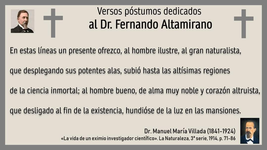 caraltmor's tweet photo. #Versos póstumos dedicados al #DrFernandoAltamirano (1848-1908) por el Dr #ManuelVillada (1841-1924). #CientíficosMexicanos #CienciaenMéxico Día de #TodoslosSantos #FielesDifuntos #TodosSantos #DiaDeTodosLosSantos #Ciencia #Poesía #Epitafio #eximio #FernandoAltamiranoCarbajal https://t.co/poywl4Hesw