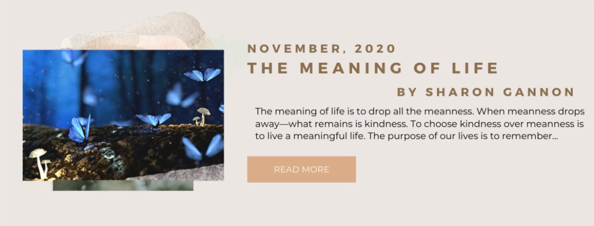 November "The Meaning of Life" |  2021 300HR TT Dates Announced! Sharon's new Memoir (of sorts)! Practice with the Italy 300HR Mentors! and more! conta.cc/2TUH34p