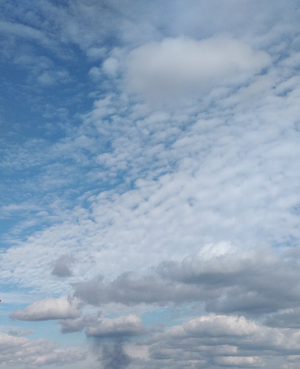 "Cinlerden ve insanlardan; insanların kalplerine vesvese veren sinsi vesvesecinin kötülüğünden, insanların Rabbine, insanların Melik’ine, insanların İlah’ına sığınırım."

(Nas , 114/1-6)

#Kuran-ı Kerim
#HayırlıSabahlar
