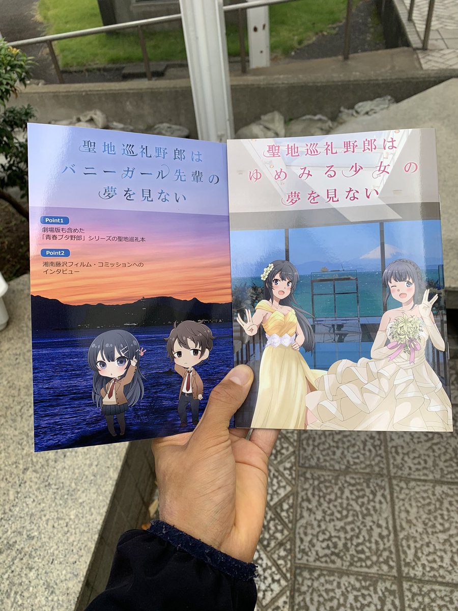 #seishun1101 に行ってきて聖地巡礼の冊子を購入！
劇場版(右側)の表紙が可愛すぎて困る❣️
