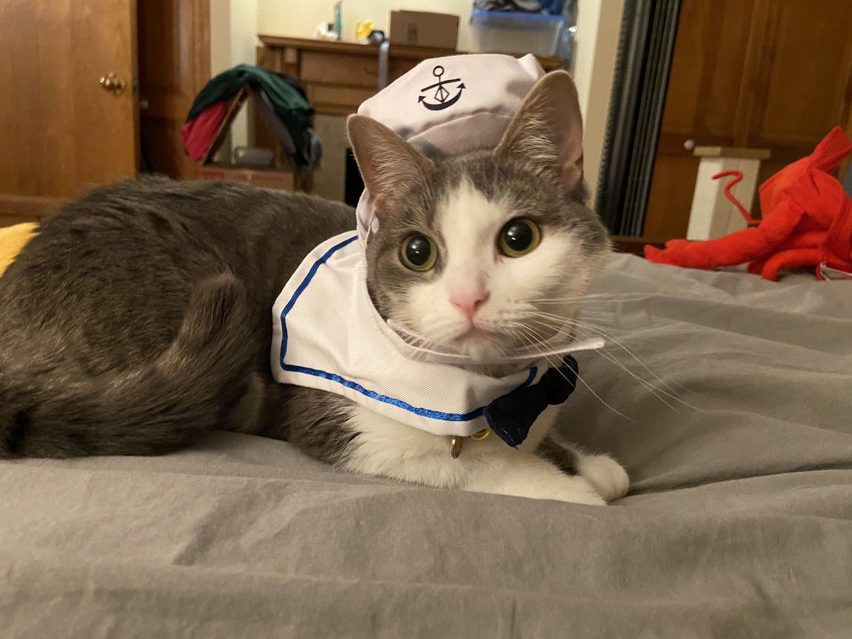 Artibuff tweet media