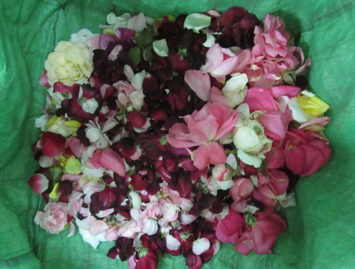 ハッシュタグ 花がら摘み