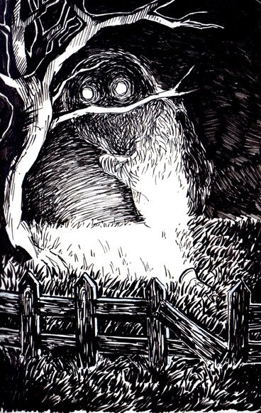 Thinking about the Mothman, but is it Mothman? Who knows!