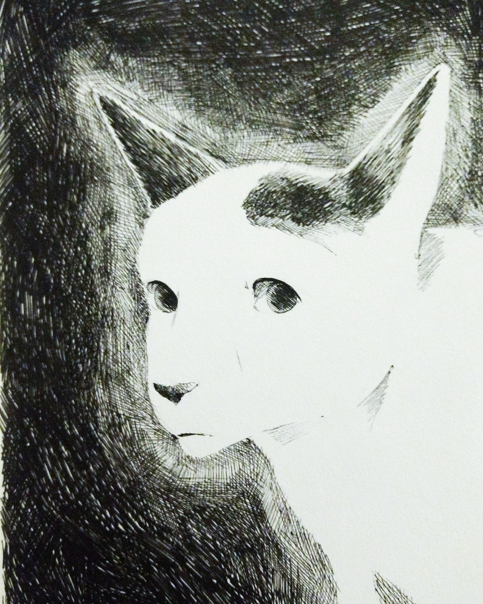 There's a meme of a cat with freakishly human eyes. I had to draw it