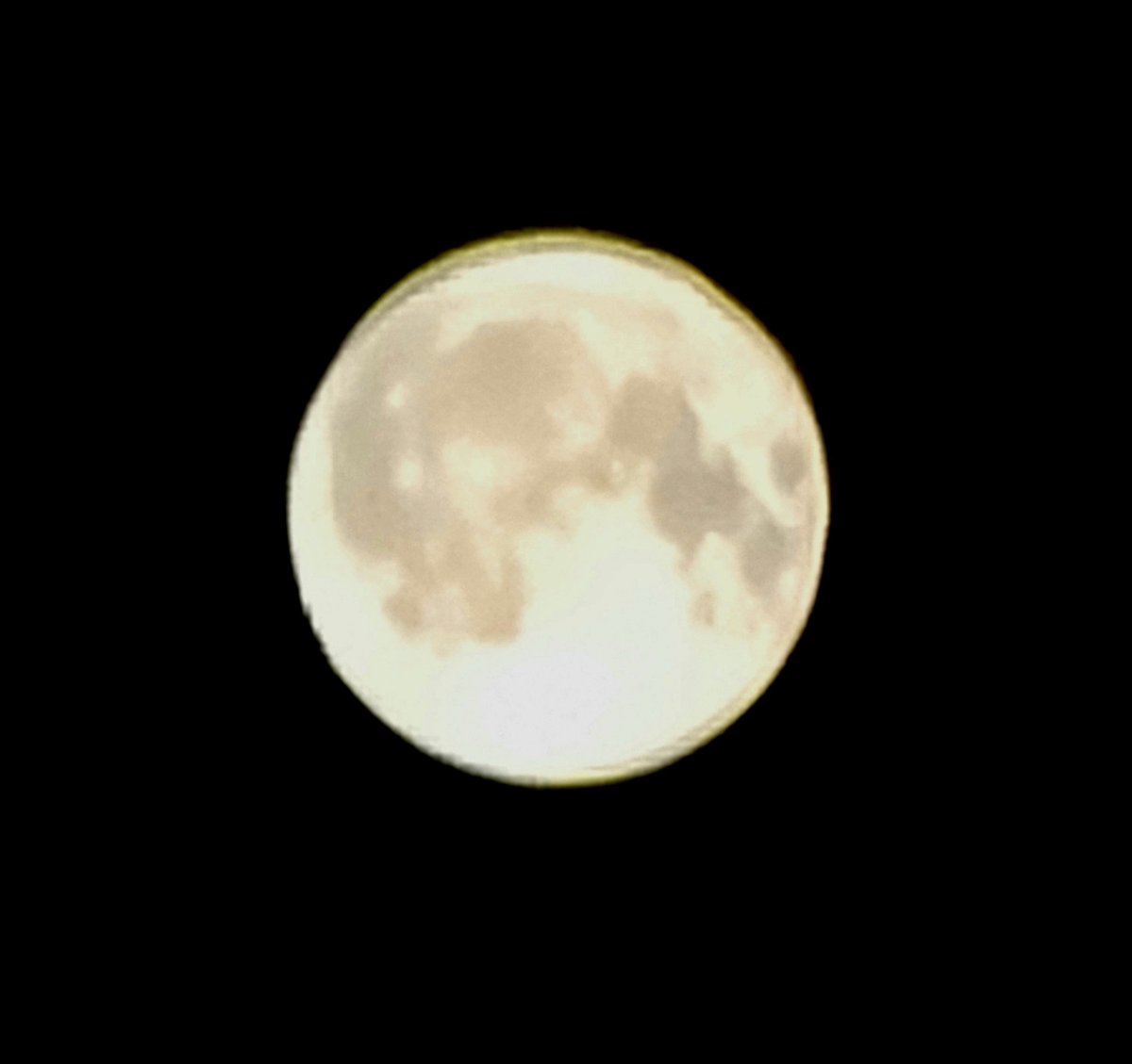 TheLuckyPupp's tweet image. #BlueMoon #Halloween2020 #SamsungS20