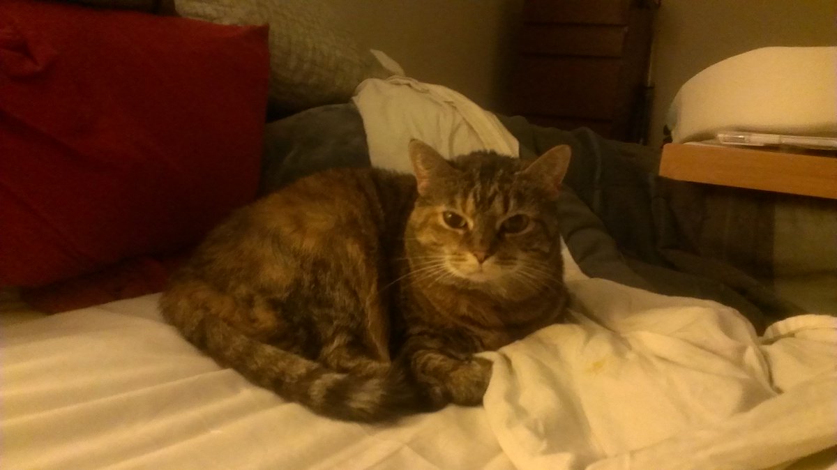 HowToBeSickTips's tweet image. "The human body is a vast wonderland of potential malfunctions, and we all get our own special mix of them."

Check out the NEW EPISODE where we talk dysautonomia with @AuthorAllegra and @iamaskrull for #DysautonomiaAwarenessMonth!

wp.me/p90F0R-1Y #CripPodSquad