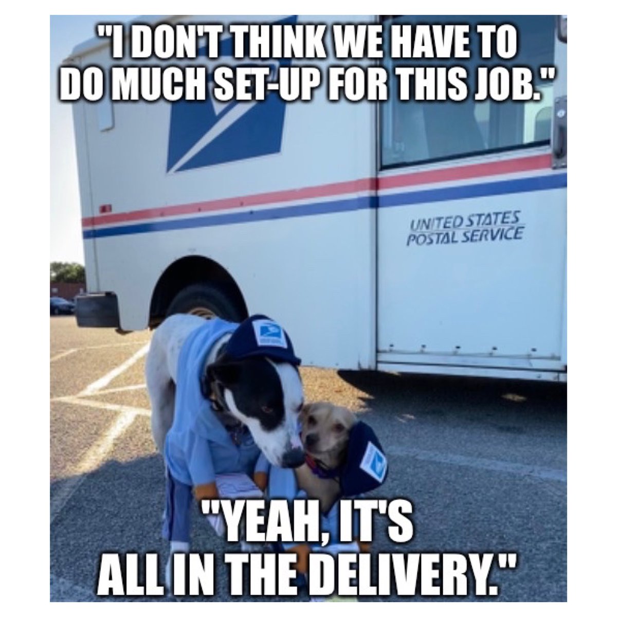 wabn04's tweet photo. @USPS where can my pups submit their application? #uspsdogcostume #usps #supportusps #funnydogmeme #doghaloweencostime https://t.co/io3hfRUswp
