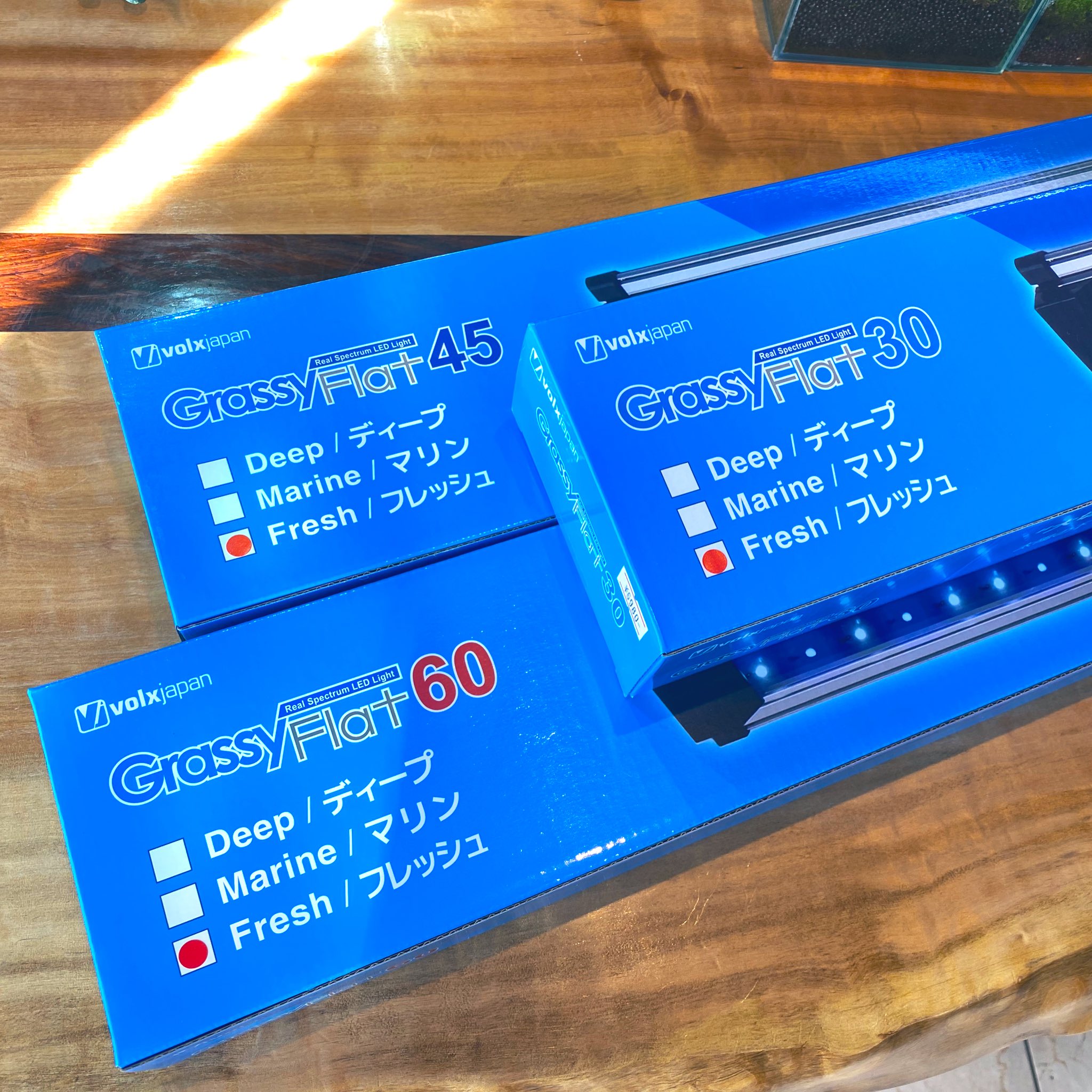 Aquarium Kind 先月より発売開始のボルクスジャパンの新商品 グラッシーフラット各サイズ入荷しております グラッシーウィング2が記憶に新しいこのメーカーですが 調光機能やタイマー機能を無くすことで低価格でありながら高品質な Aquarium Kind 先月より発売開始のボルクスジャパンの新商品 グラッシーフラット各サイズ入荷しております グラッシーウィング2が記憶に新しいこのメーカーですが 調光機能やタイマー機能を無くすことで低価格でありながら高品質な