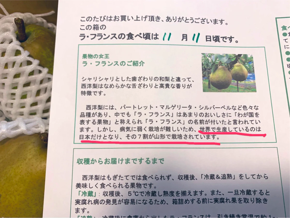 ラ・フランスの豆知識？世界で生産しているのは日本だけで7割が山形！