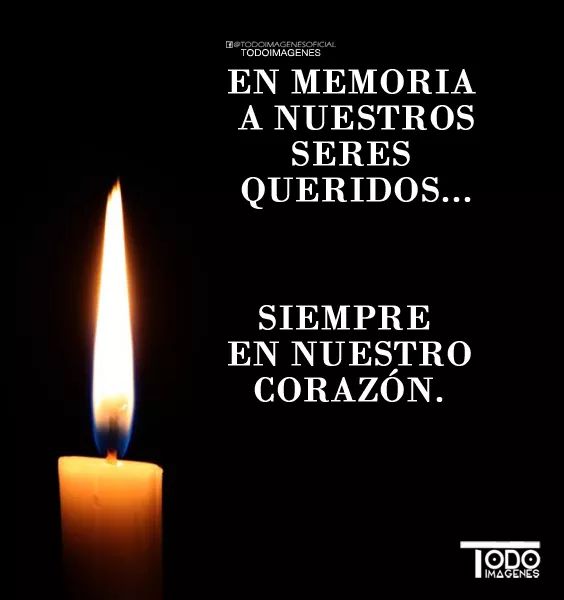 Feliz domingo amig@s 
Bienvenido noviembre a tod@s