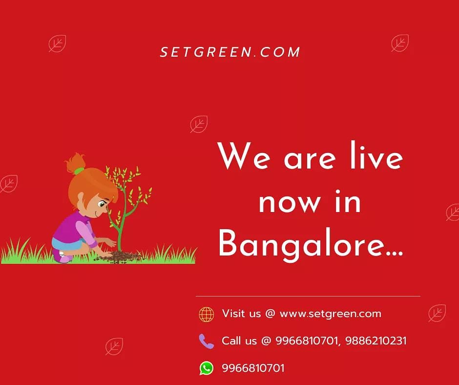 setgreen242's tweet photo. We are live in Bangalore now..
Buy all kind of #Liveplants, #Planters, #Gardenessentials and Accessories at #Setgreen. Get your orders to doorstep in Hyderabad & Bangalore. Whatsapp/Call us @ 9966810701. Visit @ https://t.co/qFwqXwo5lX, Download our #app https://t.co/iCxJPYFg0w https://t.co/VFn0wV8tLm