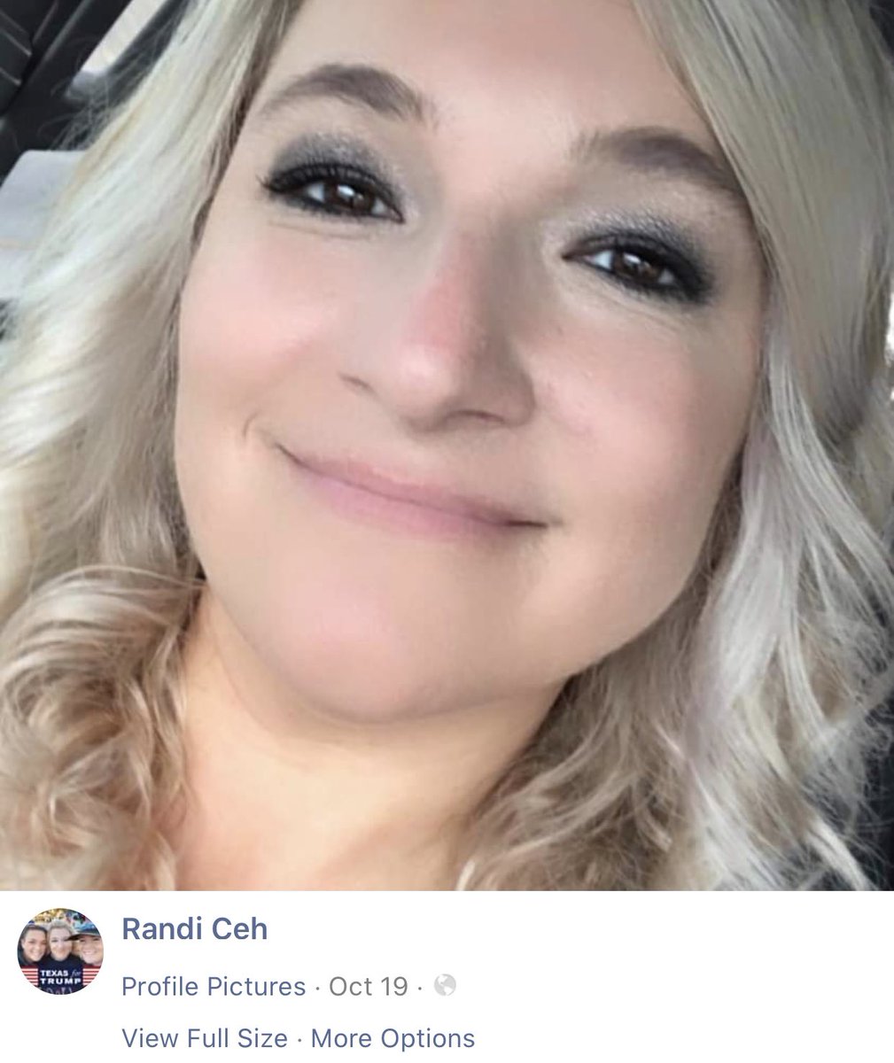 I’m being told this is a Toyota Tundra. The back passenger window matches.Meet Hannah and Randi Ceh of New Braunfels, Texas. Hannah posted this video of her family driving dangerously close to the Biden bus on Instagram. Her dad owns the Toyota Tundra in the video.