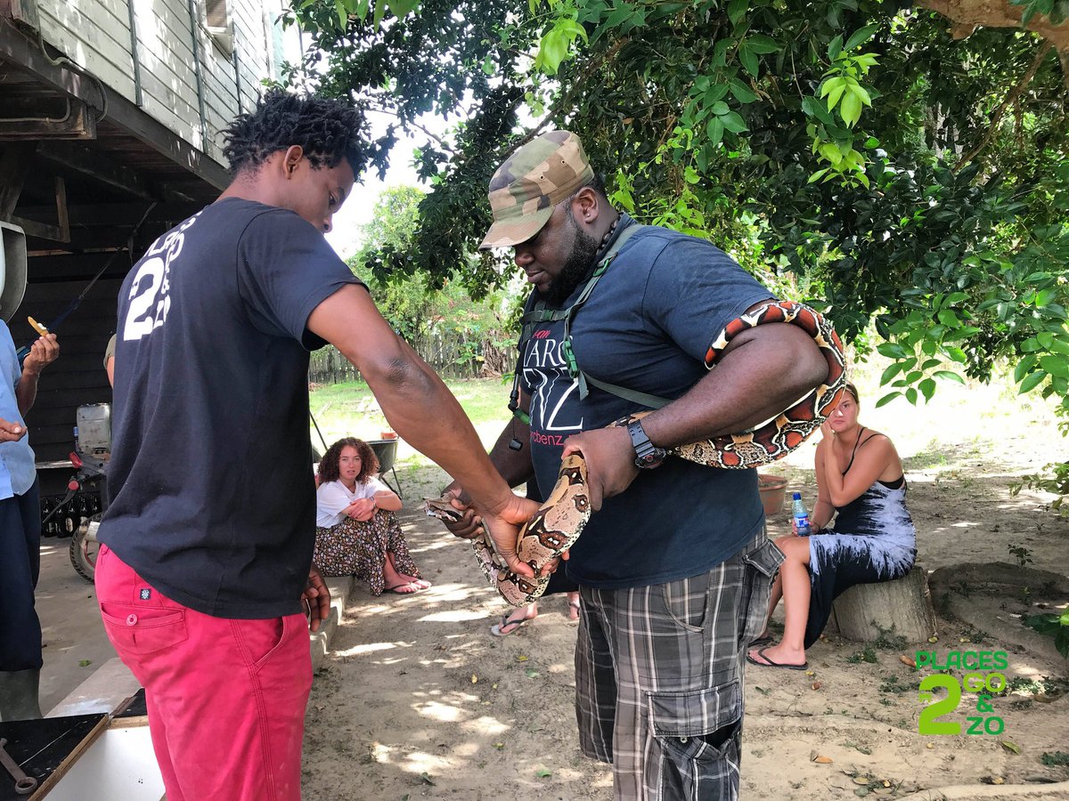 EApinsa's tweet photo. The one and only #constrictor!
-
#elmantheguide #bestguide #experienceguide #friendship #Friendsgiving #FamilyBusiness #TRAVEL
#NaturePhotography #tourguides #tourism #boaconstrictor #reptiles #snake #wildlife #animallover #photographylovers #Exclusive #PHOTOS https://t.co/S5MyR4vyV1