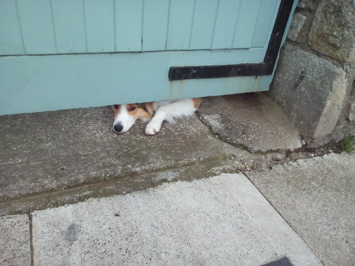 With the 5k limit, ní feidir liom dul ach as far as Glasthule. I miss saying Dia duit to the Dalkey locals