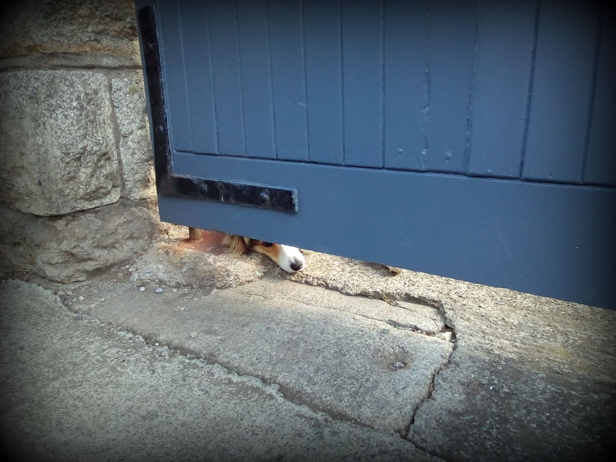 With the 5k limit, ní feidir liom dul ach as far as Glasthule. I miss saying Dia duit to the Dalkey locals