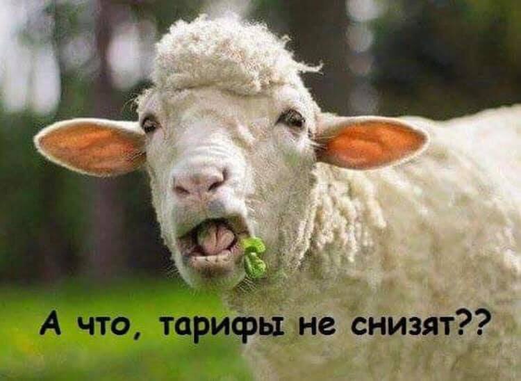 Крупнейшие сети обновили рекорд цен на автогаз - Цензор.НЕТ 1668