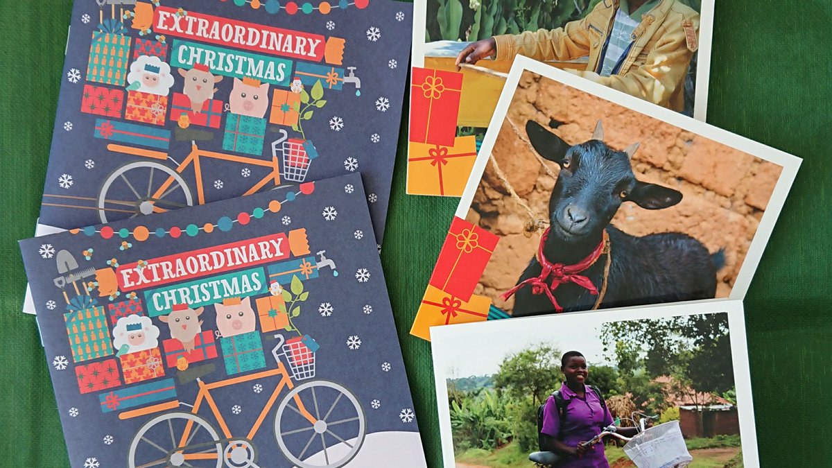 All We Can tweet media