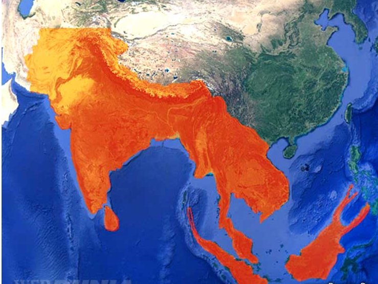 ANIKETS09516767's tweet photo. Who wants Akhand Bharat.
Yes?
#Proud_Hindu_Challenge https://t.co/w0ZwnRYSsm