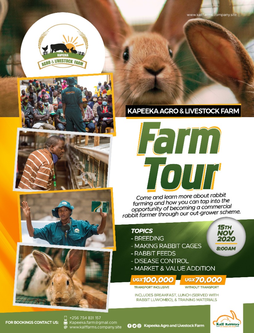Its always bigger and better
Don't miss out our next edition for the Farm Tour at the farm on the 15th November 2020
#kalfrabbitry