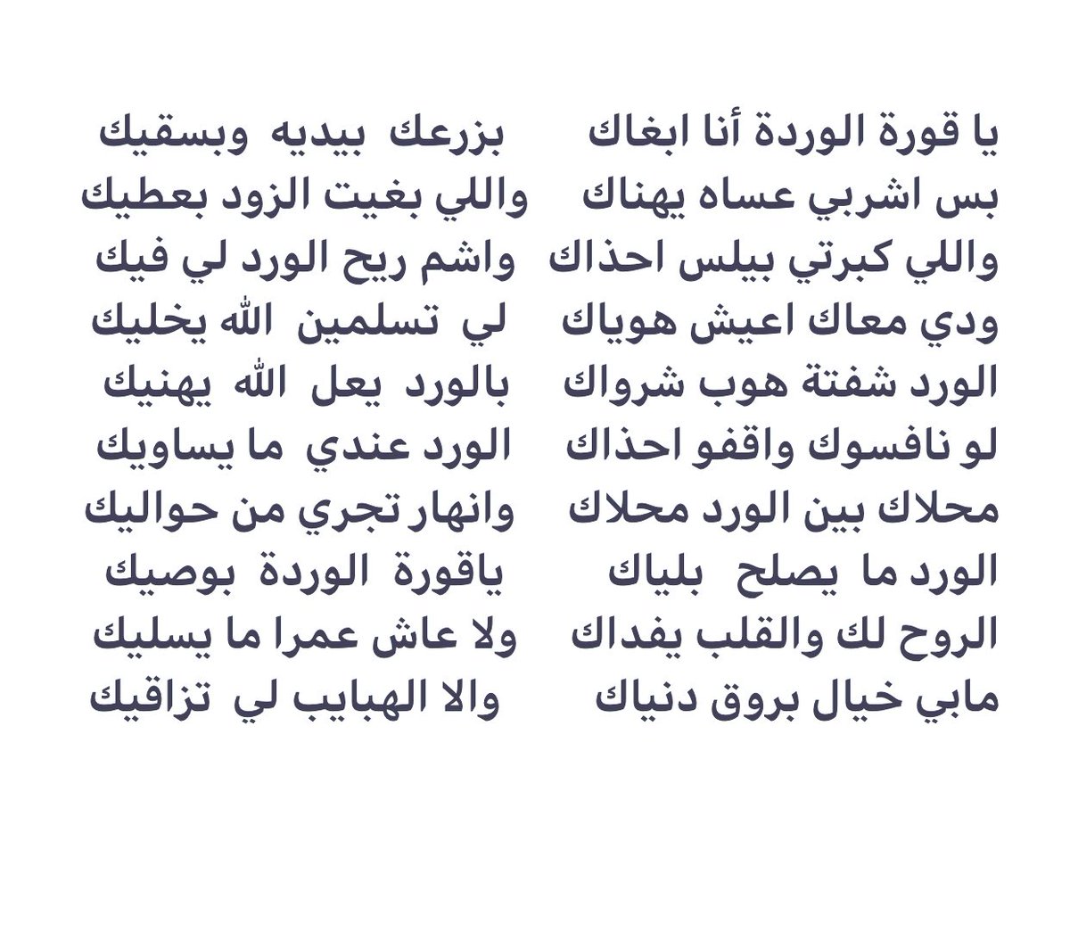 راشدغريب راشد عبيد المنصوري tweet media