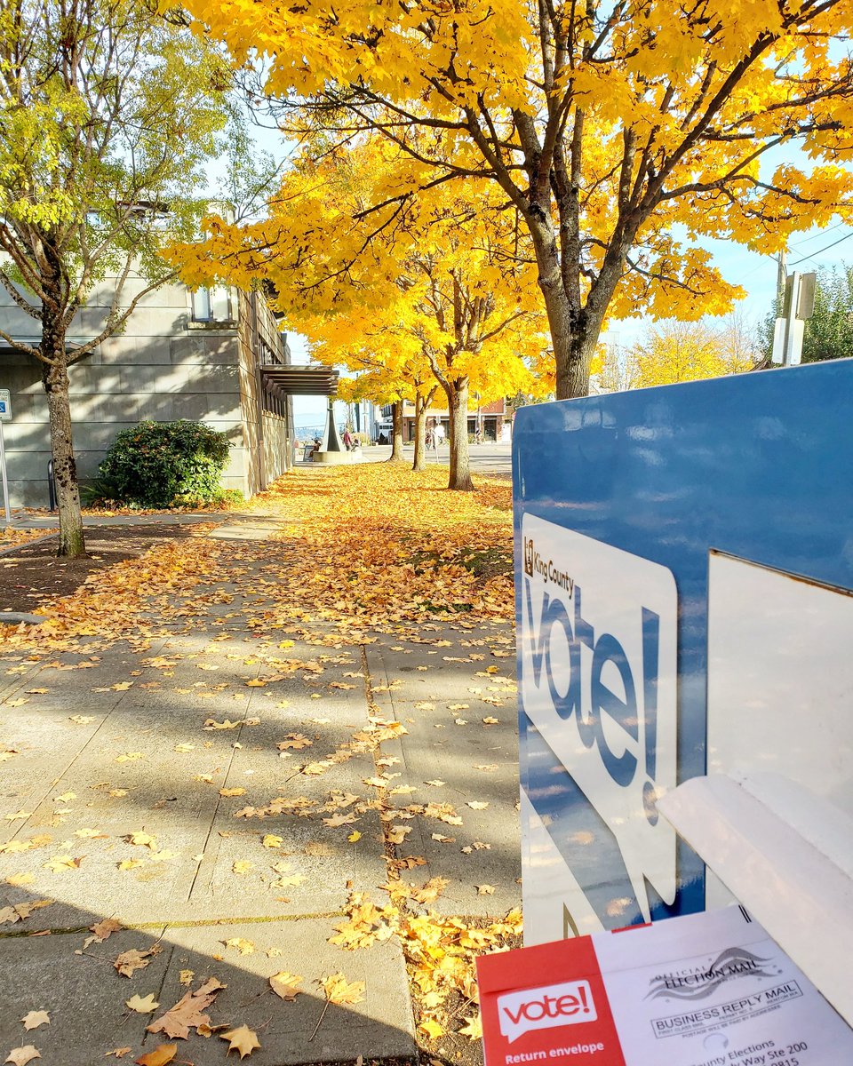 masterranma's tweet photo. The Ballot Drop Box by The Beacon Hill Branch looks so beautiful with the autumn foliage in the background. 🍂🍁
.
.
#library #ballotdropbox #kcelections #autumn2020 #autumnvibes🍁 #autumnfoliage #beaconhillseattle #seattle #vote @SPLBuzz @kcelections https://t.co/SEd9Gcri3p